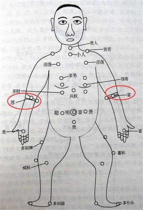 乳房有痣|痣说人生：胸上痣的位置与命运图